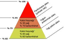 Nabız Aralığı Kaç Olmalı?