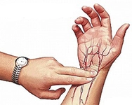 Nabız Çeşitleri Nelerdir?