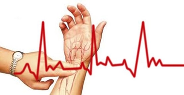 Yetişkinlerde Nabız Sayısı